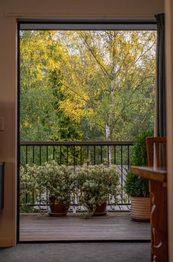 Private And Peaceful Studio Apartment Уанака Екстериор снимка